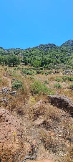 Marmaris Selimiye Dorf In einer für die Investition geeigneten 773 m2 großen verkaufsbaren Fläche Land
