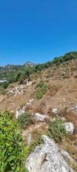 Feld Zu verkaufen in Selimiye Bz. Marmaris - Feld-Zonierung - 773 m²