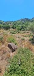Feld Zu verkaufen in Selimiye Bz. Marmaris - Feld-Zonierung - 773 m²