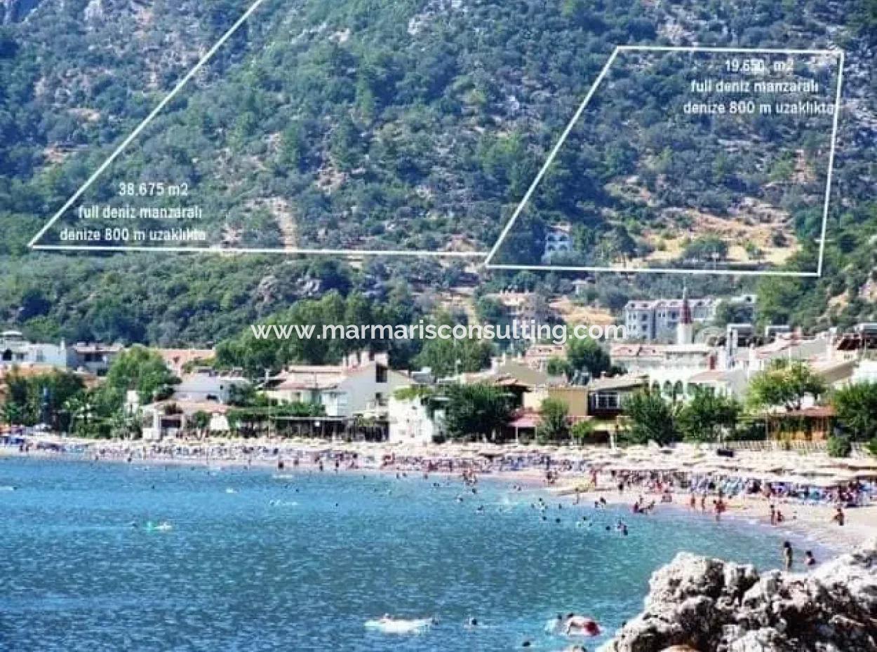 20000M2 Grundstück Mit Meerblick Zum Verkauf Gezonten 18 Km Von Marmaris