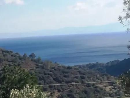 Grundstück Zu Verkaufen Mit Meerblick Mit 52000M2 Parzelle In Mugla Provinz Datca Bezirk Masoudye Nachbarschaft