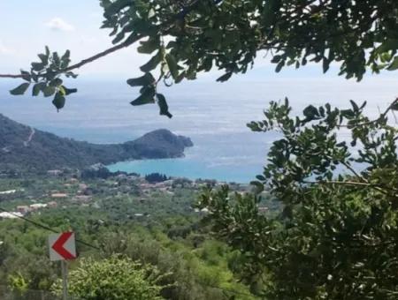 Grundstück Zu Verkaufen Mit Meerblick Mit 52000M2 Parzelle In Mugla Provinz Datca Bezirk Masoudye Nachbarschaft