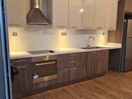 Siteler Viertel Seafront 2 1 Wohnung Zur Miete