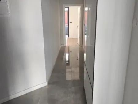 Siteler Viertel 2 1 Freistehende Gartenwohnung Zum Verkauf