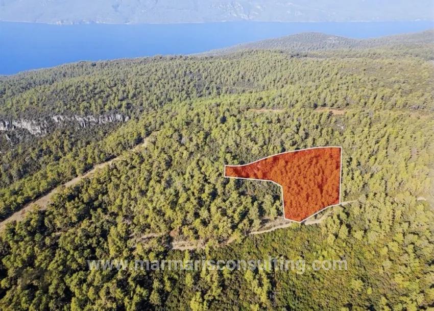 In Marmaris Çetibelinde within the forest 13,500 m2 Private usage area
