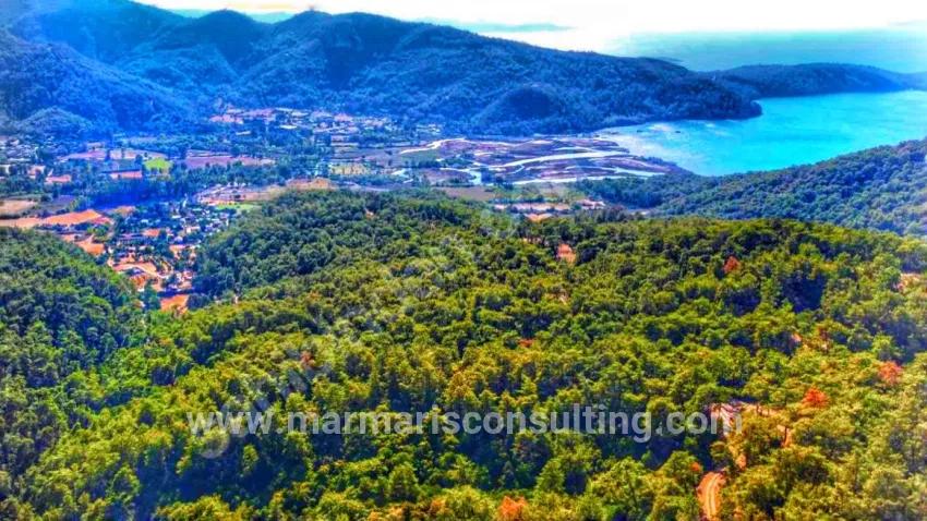 In Marmaris Çetibelinde within the forest 13,500 m2 Private usage area