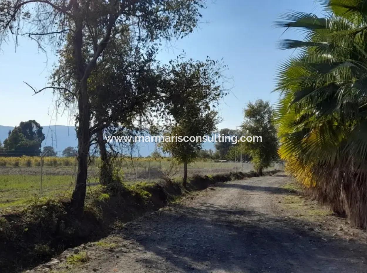 32000M2 Arable Avocados, Greenhouse Construction, Farms, Suitable For Livestock Land In Köyceğinz Döğüşbelen