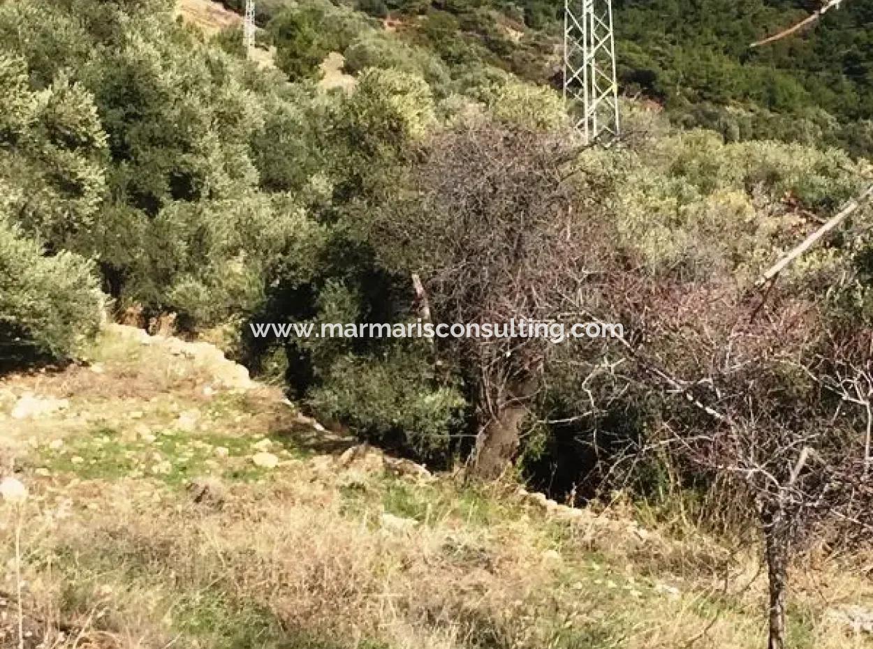 Land For Sale With Sea View With 52000M2 Parcel In Mugla Province Datca District Masoudye Neighborhood
