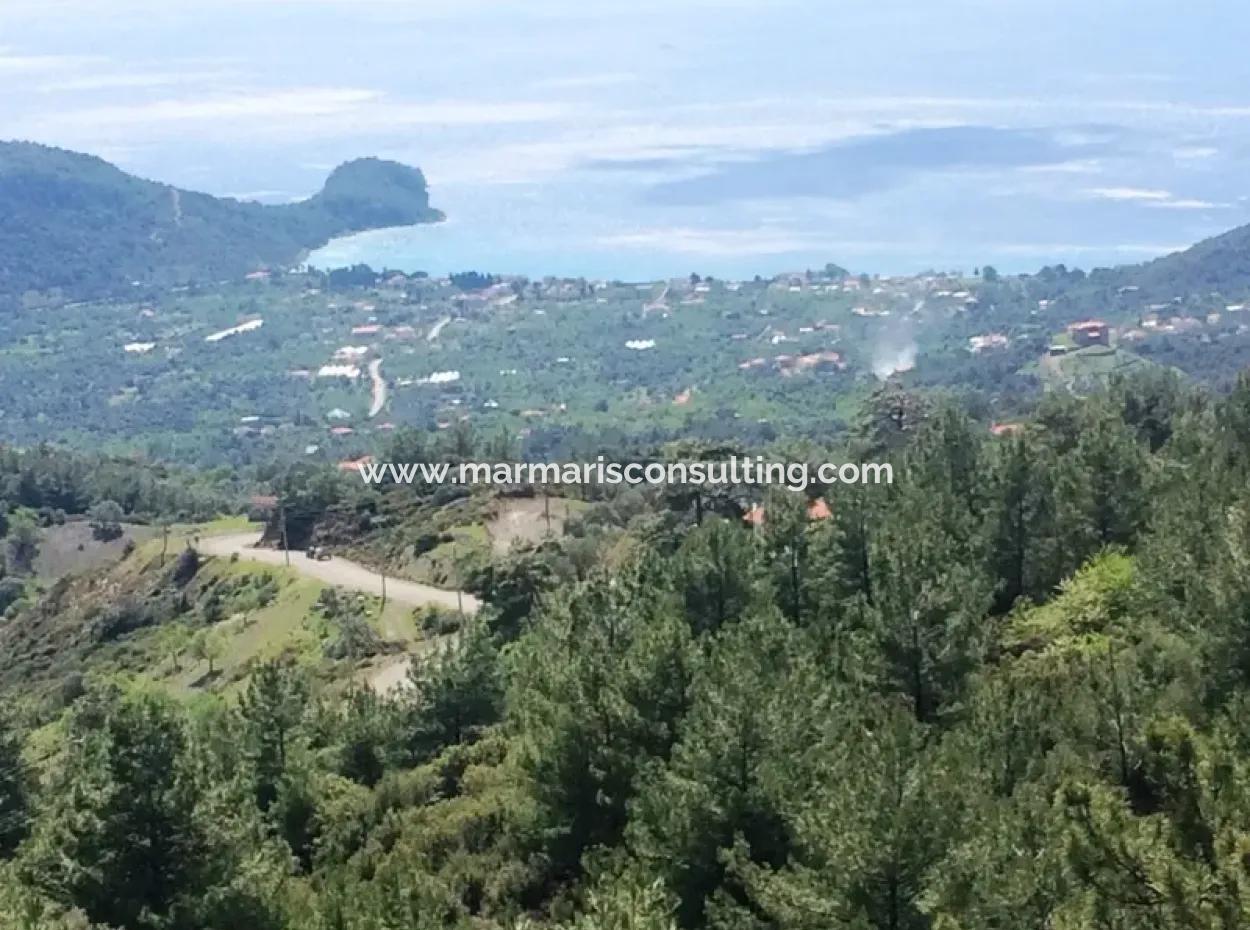 Land For Sale With Sea View With 52000M2 Parcel In Mugla Province Datca District Masoudye Neighborhood