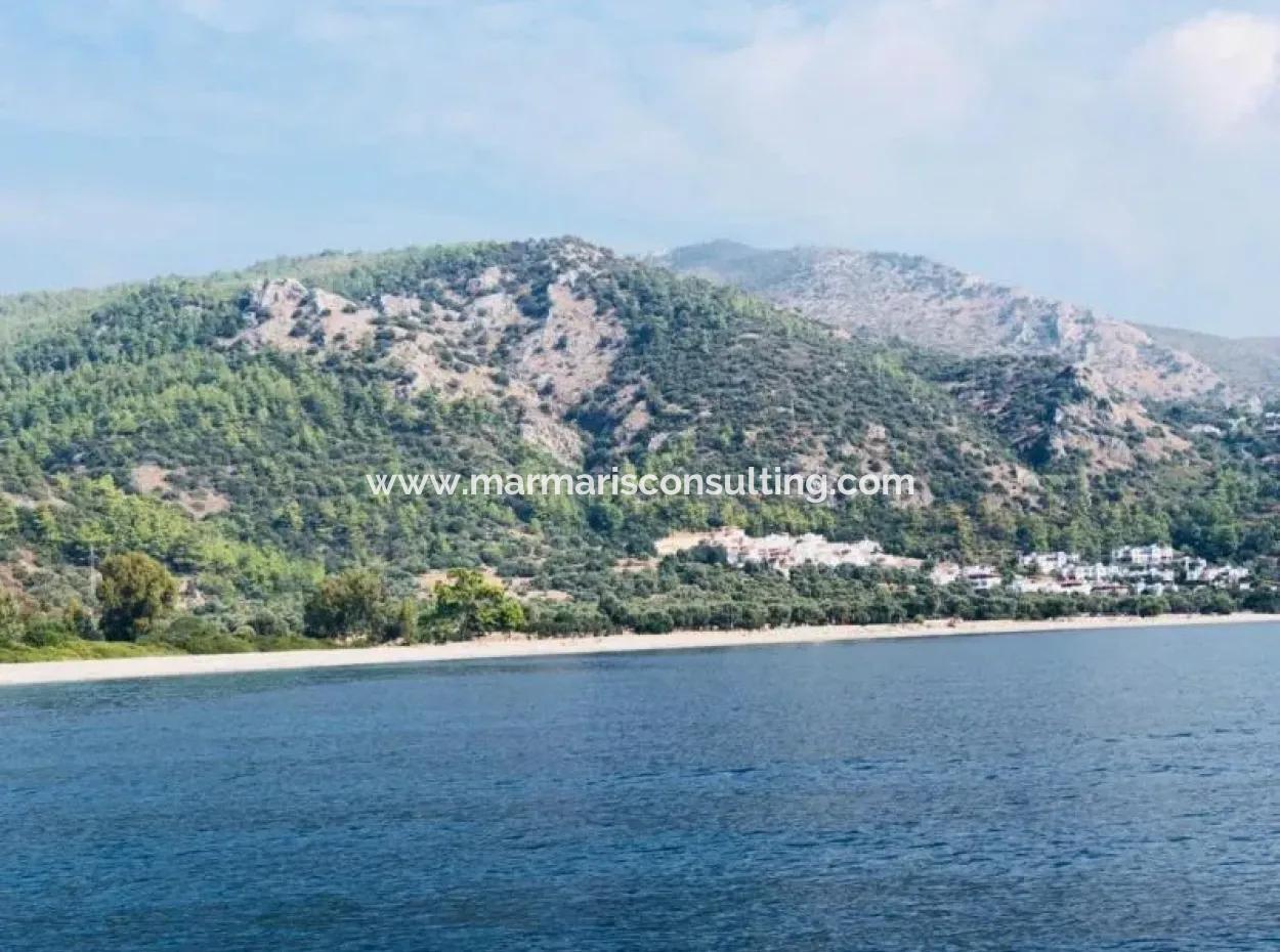 4400 M2 Land For Sale Suitable For The Construction Of 19 Catalyst Deeds In Milas Bozalan
