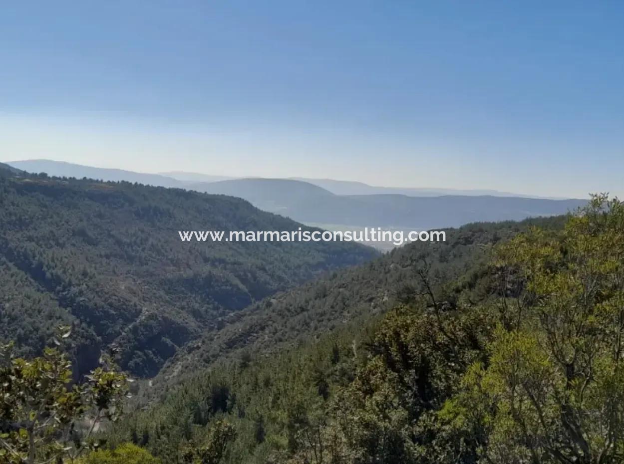 The 200000M2 Almond Garden Is For Sale In The Center Of Mugla.