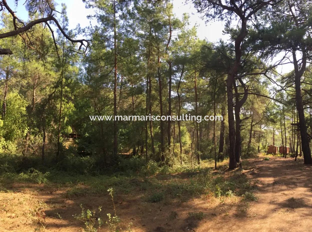 Land For Sale Suitable For Bungalow Hotel In 7500M2 Plot In Bördübet Bay