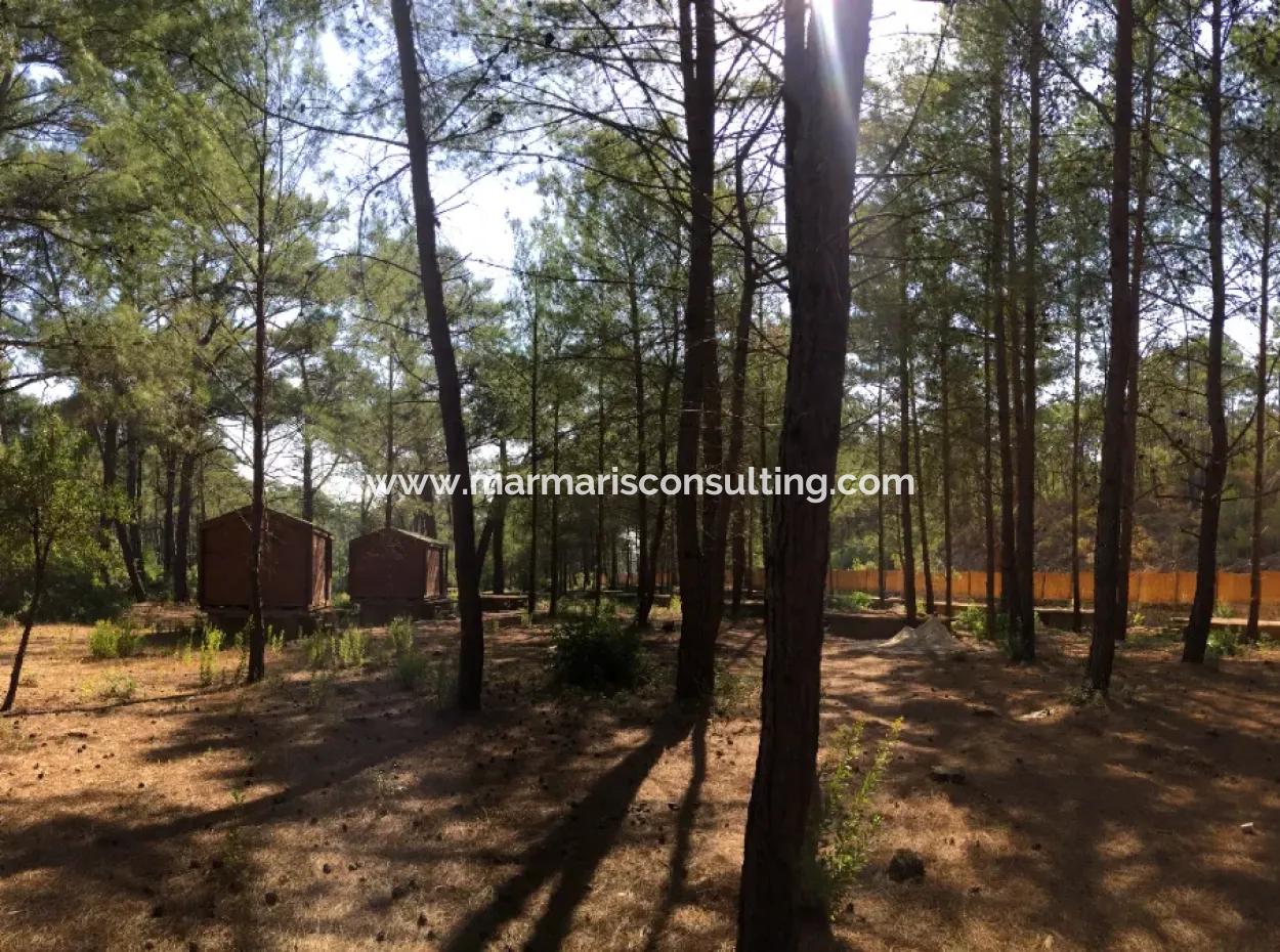 Land For Sale Suitable For Bungalow Hotel In 7500M2 Plot In Bördübet Bay