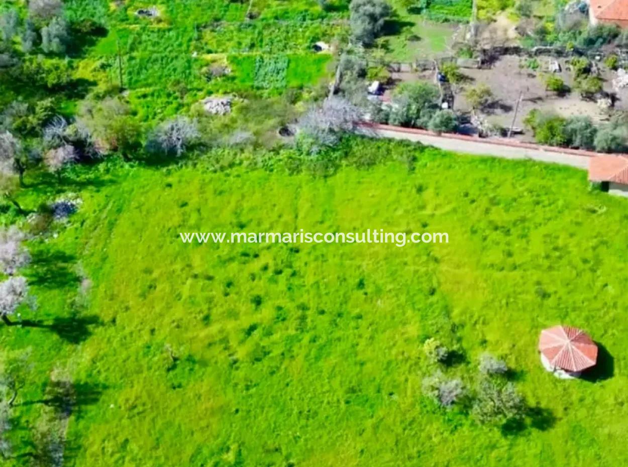 Land For Sale In Söğüt Village Of Marmaris District, 150 Meters To The Sea, 10000M2. It Can Be Used As A Camping Caravan Camping Area In The Tourism Area.