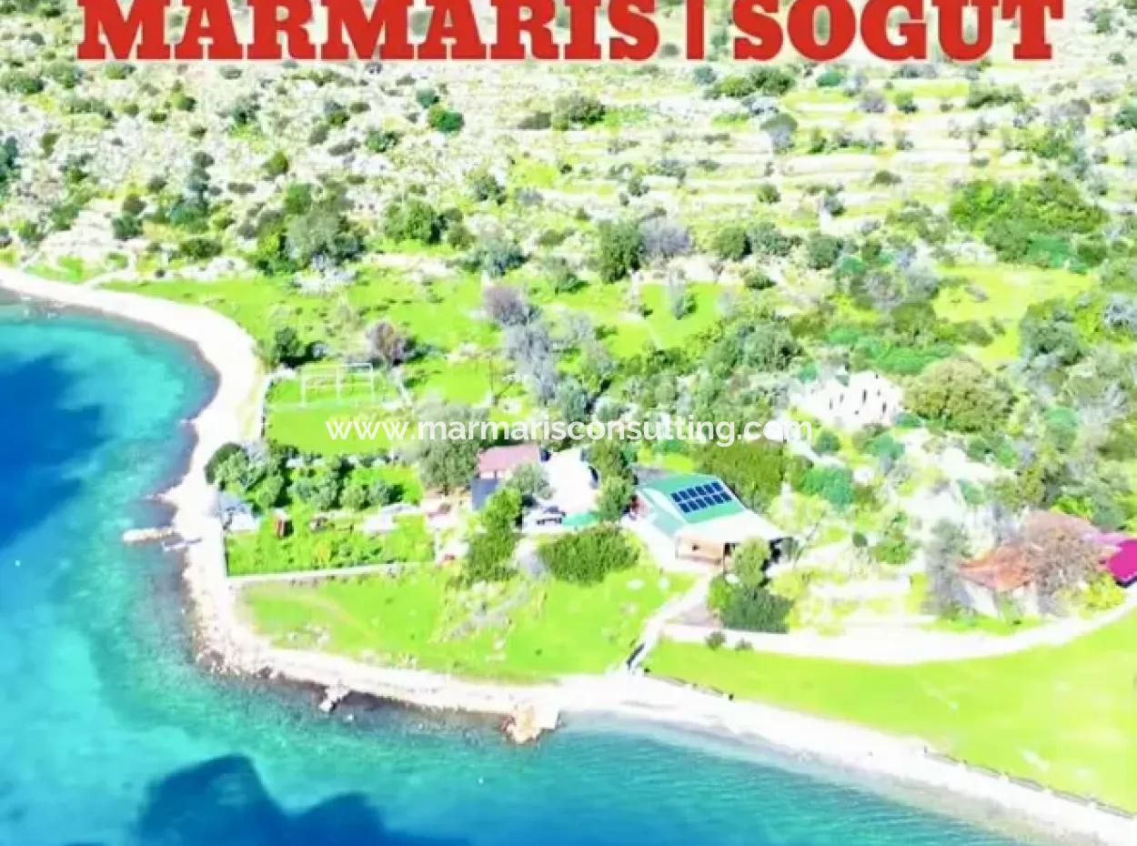 A 380M2 Land For Sale By The Sea In Söğüt Neighborhood Of Marmaris District From A Real Estate Agent