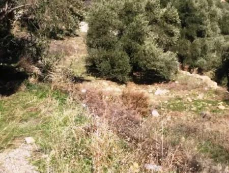 Land For Sale With Sea View With 52000M2 Parcel In Mugla Province Datca District Masoudye Neighborhood