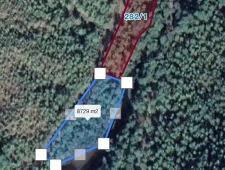 Land For Sale Suitable For Bungalow Hotel In 7500M2 Plot In Bördübet Bay