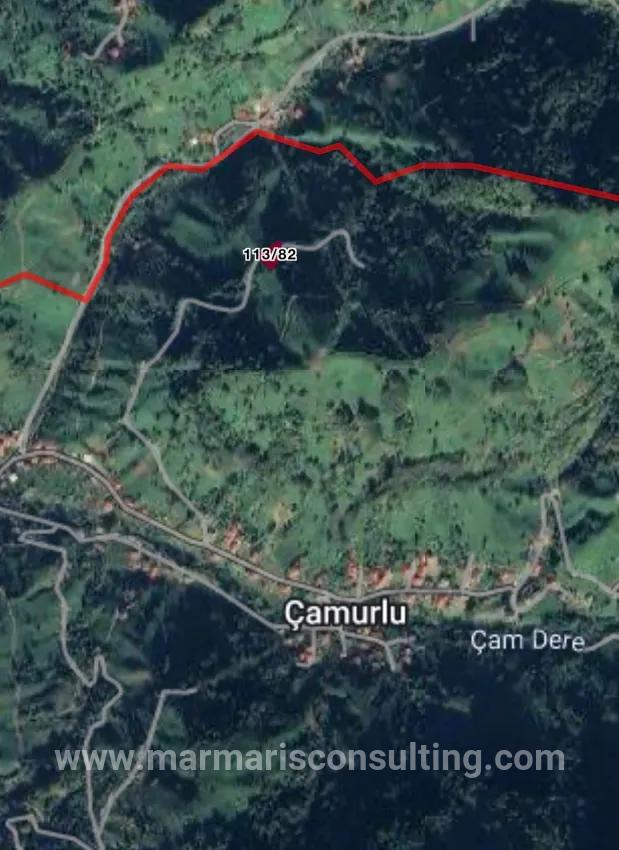 В селе Хопа Kemelpaşa есть 650 м2 дорожки Чайного сада
