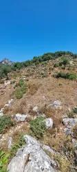 Для продажи Поле в Selimiye Marmaris - Под Поле застройку - 773 m²