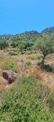 Для продажи Поле в Selimiye Marmaris - Под Поле застройку - 773 m²