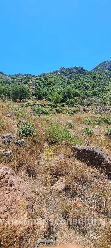 Marmaris Selimiye köyünde yatırım İçin uygun 773 m2 satılık tarla