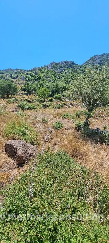 Marmaris Selimiye köyünde yatırım İçin uygun 773 m2 satılık tarla