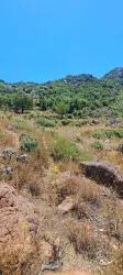 Marmaris Selimiye Mah. Satılık Tarla - Tarla İmar Durumlu - 773 m²