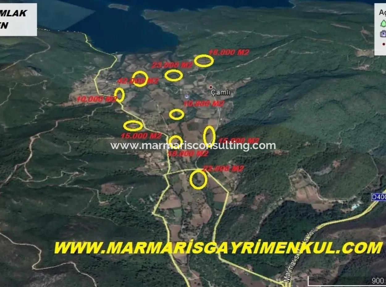 Marmaris Çamlı Köyünde 25.000 M2 Satılık Çok Acil Arsa