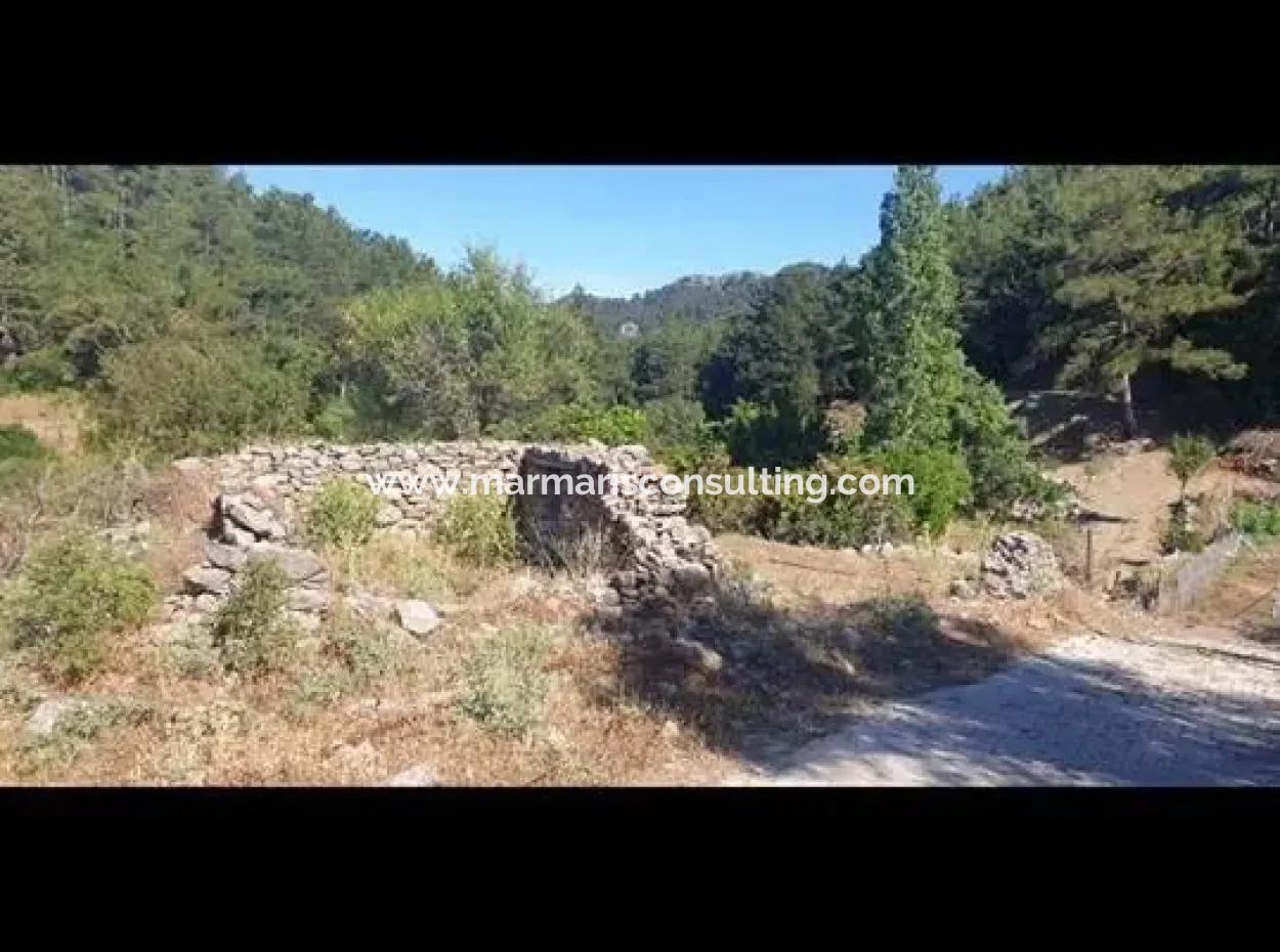 bayir koyunde 131 m2 arsa icerisinde 2 adet ev olan arsa satilik