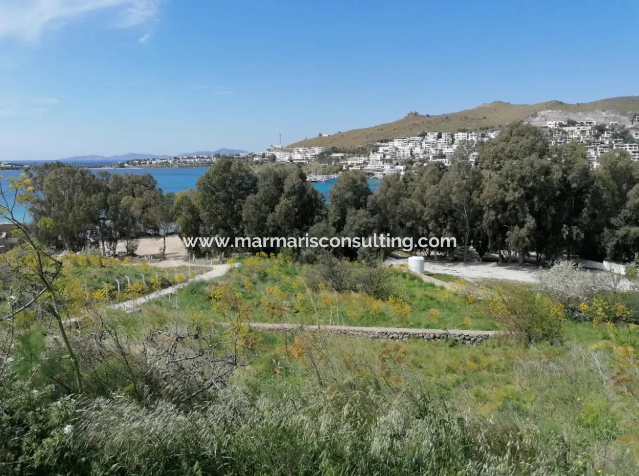 Bodrum Akyarlar Mevkisinde Denize Sıfır 4000M2 Turizm İmarlı Satılık Arsa