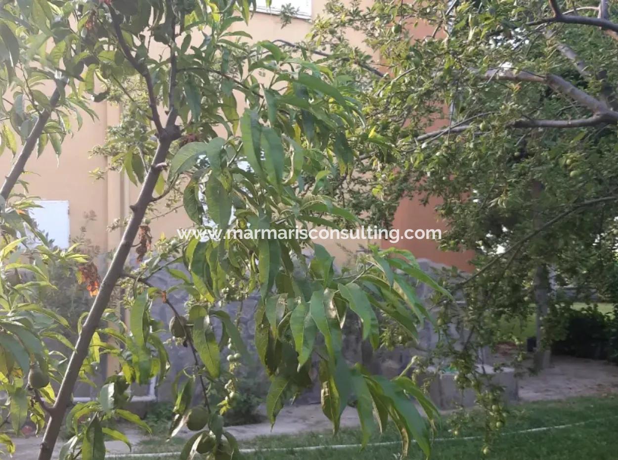 Manisa İli Alaşehir İlçesi 19000M2 Üzümbağı Çiftliği Acil Satılık