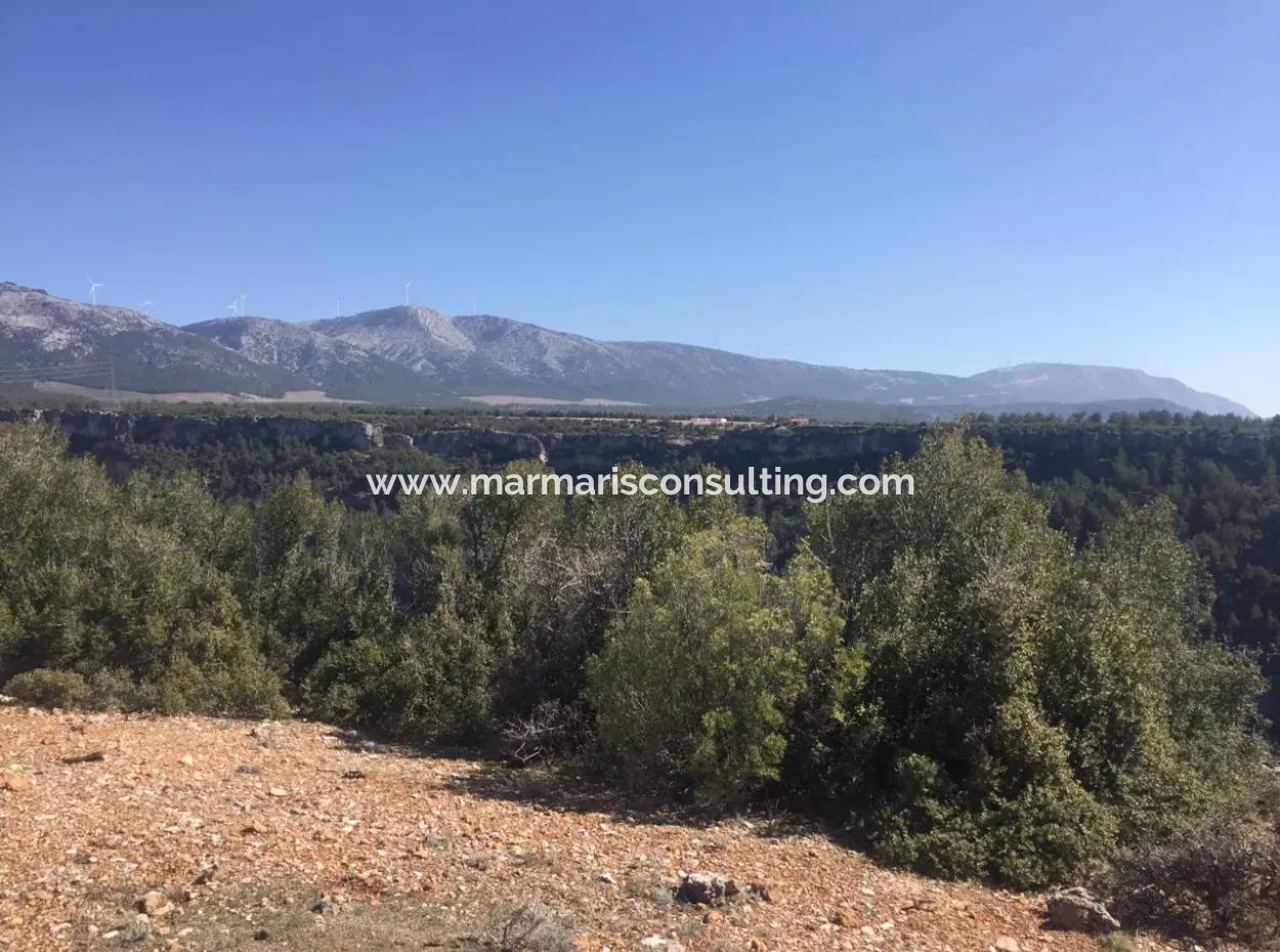 Muğla Merkezinde 200000M2 Badem Bahçesi Satılıktır.