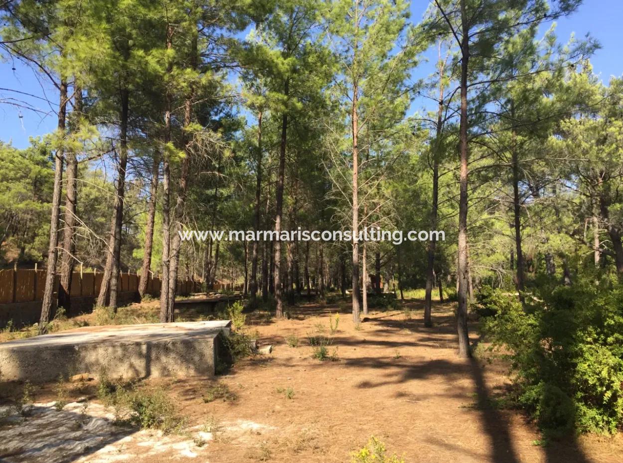 Bördübet Koyunda 7500M2 Arsa İçerisinde Bungalow Otel İçin Uygun Satılık Arsa