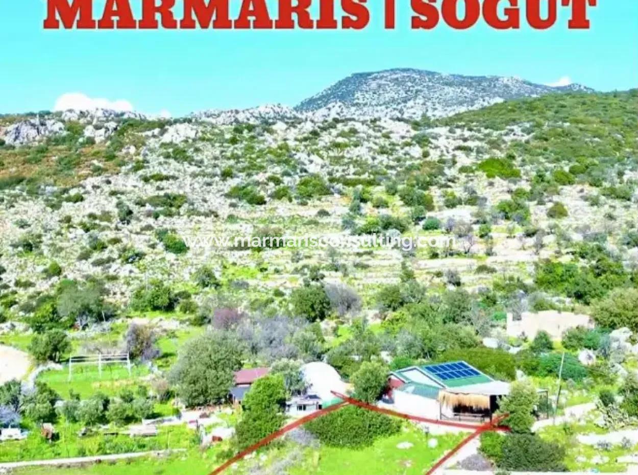 Emlakçıdan Marmaris İlçesi Söğüt Mahallesinde Denize Sıfır 380M2 Satılık Tarla