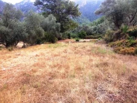 Marmaris İlçesi Orhaniye Mahallesi 400 M2 Tarla Satılık