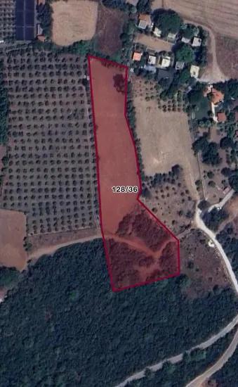 Marmaris Çamlı Köyümde Denize Çok Yakın 7000m2 Yatırım İçin Uygun Arsa